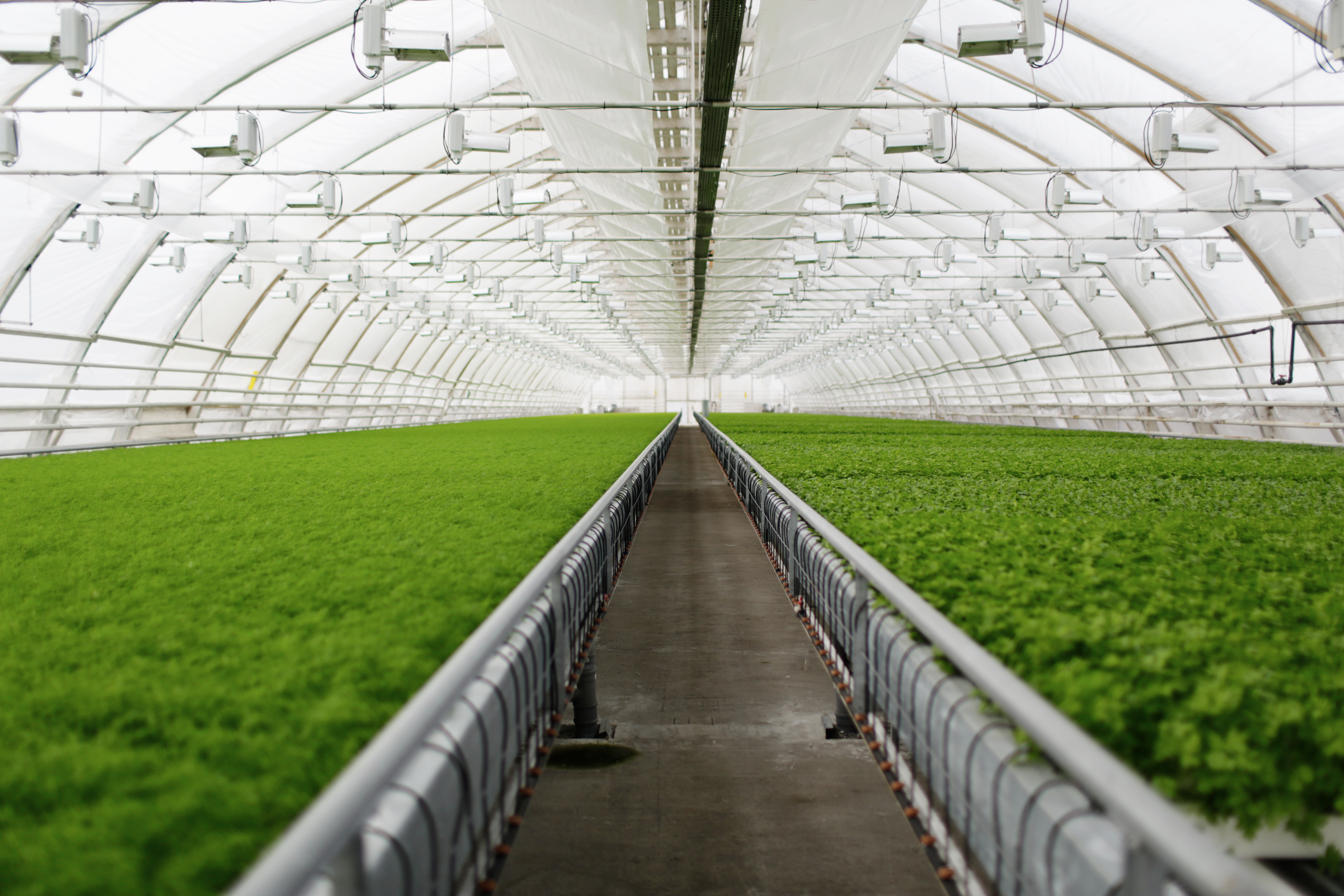 Agricultural Production